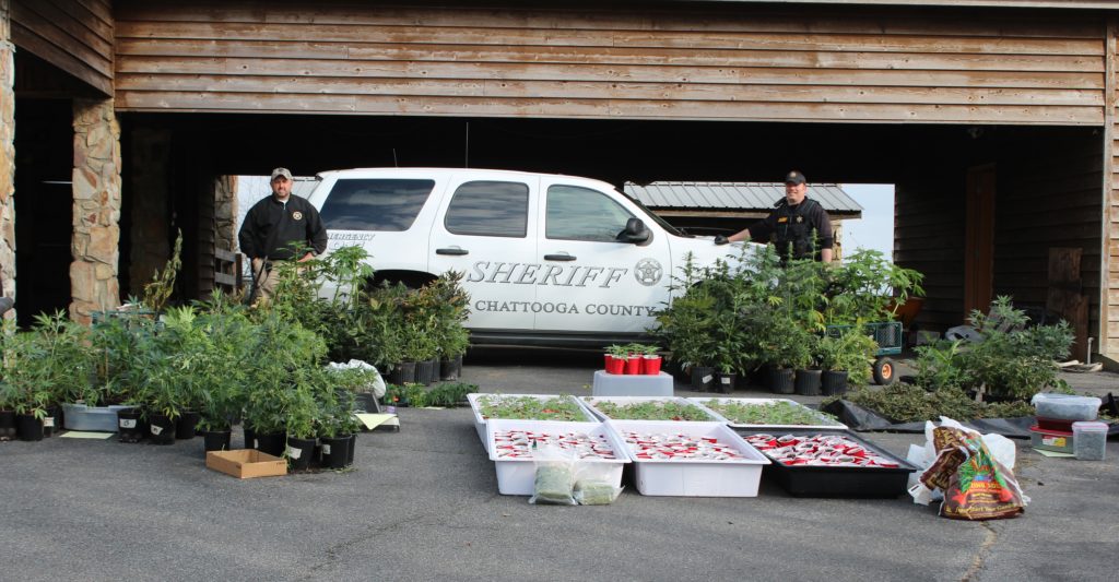 446F2DD2-2598-4ABC-82B2-29E58527421E