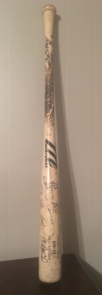 signed bat
