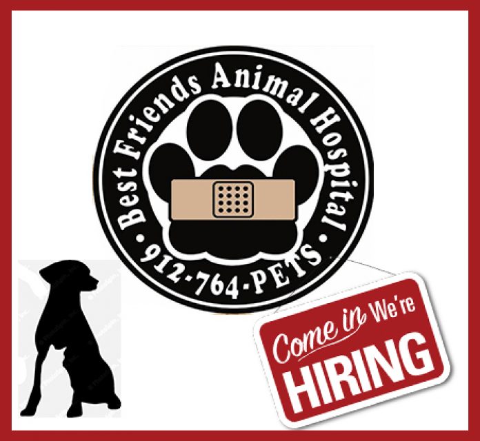 Best Friends Animal Hospital Hiring PartTime Receptionist