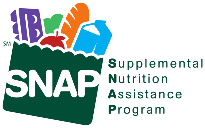 Food stamp dates 2019 ga