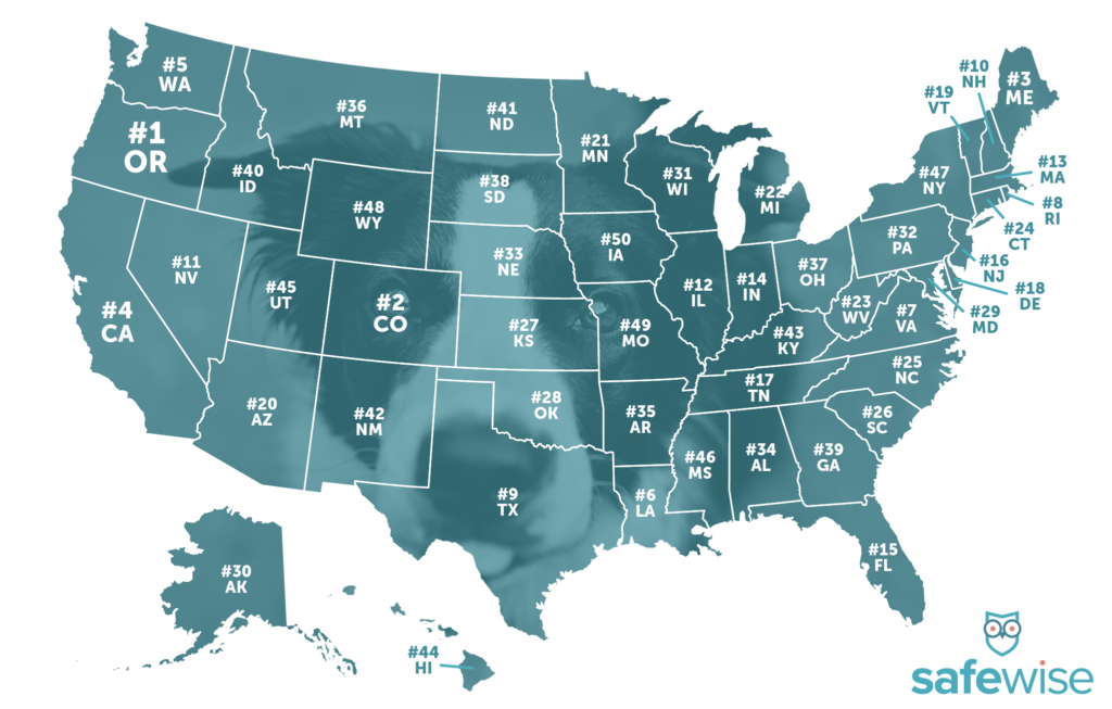 what state is the most dog friendly