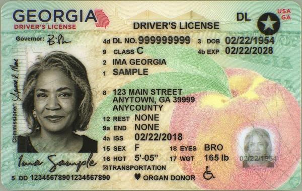 new georgia drivers license