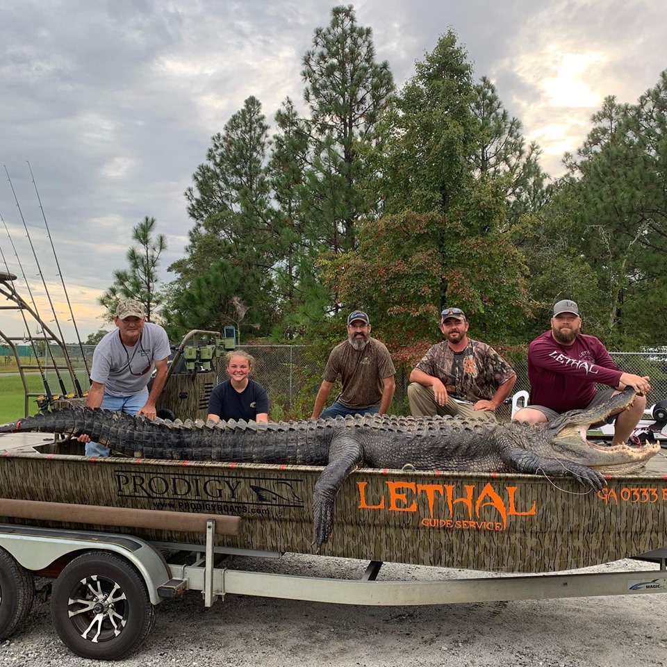 This 14-foot alligator may be the biggest one ever caught in Georgia