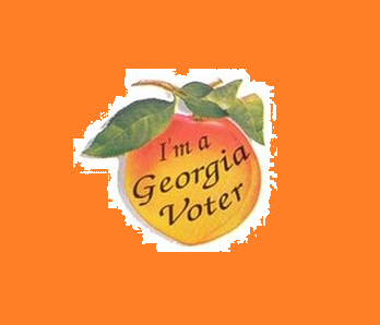 georgia voter_original