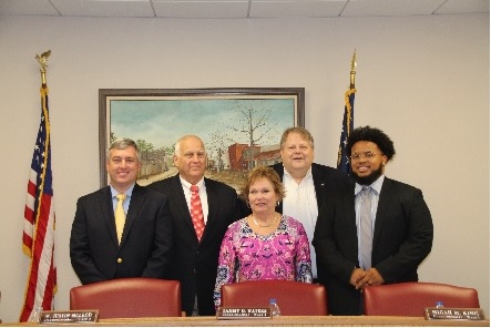 glennville council and mayor
