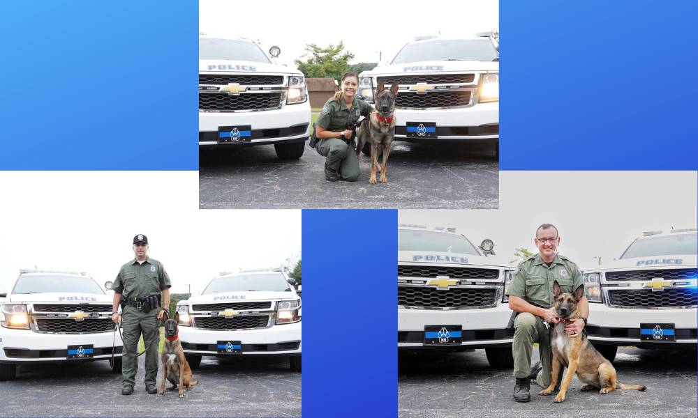 glynn certifications allongeorgia k9 canine