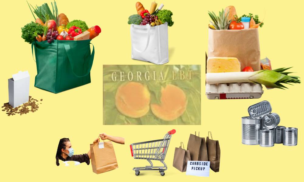 ebt. snap benefits food stamps