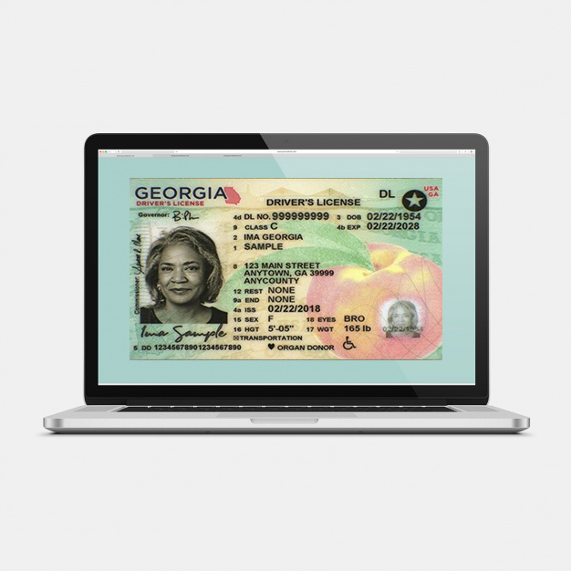 ga license online dds