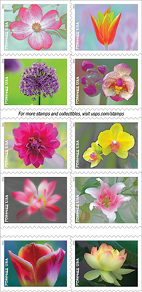 garden-beauty-stamps