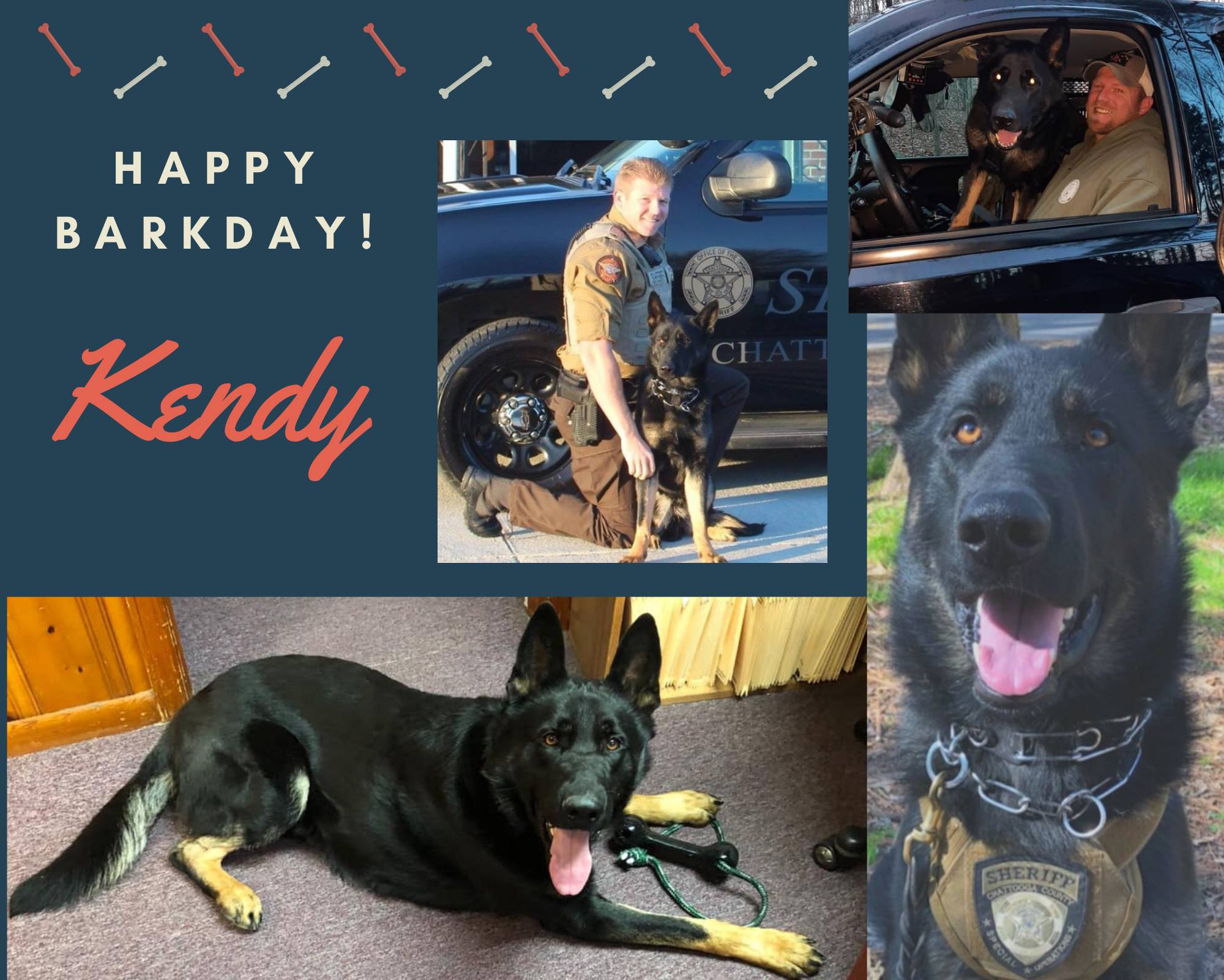 Teal Dog Birthday Pet Photo Collage