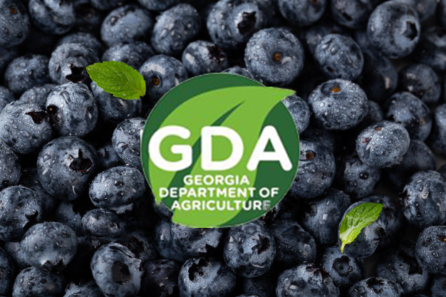 ga dept of ag blueberries