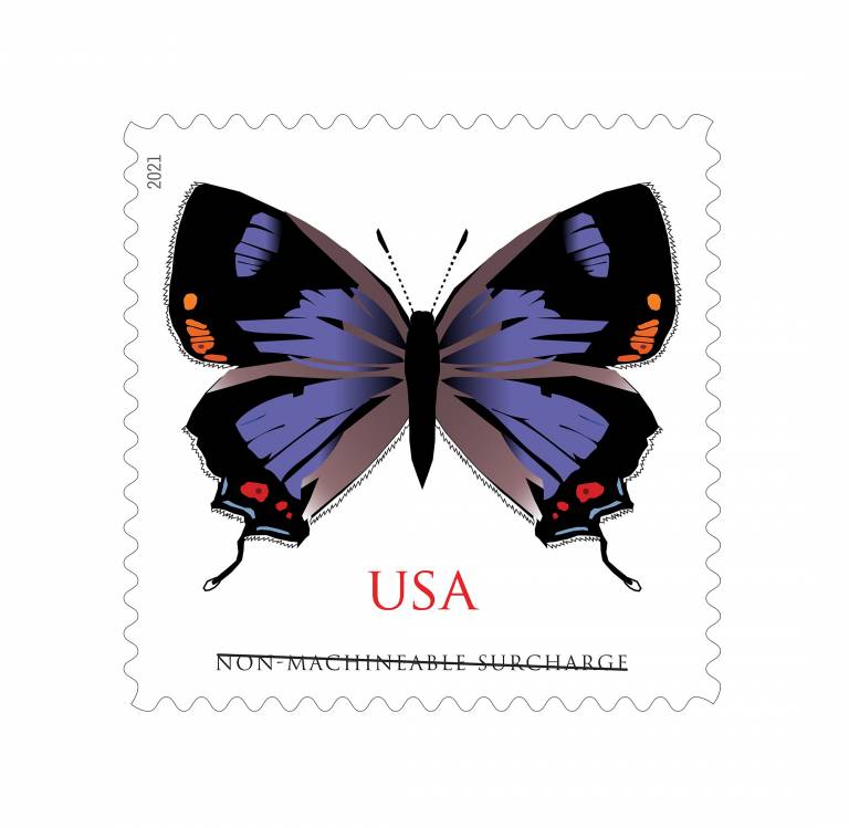 USPS Colorado’s Hairstreak Butterfly Featured on New Stamp for
