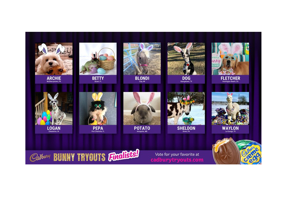 Hershey Cadbury top 10 finalists featured