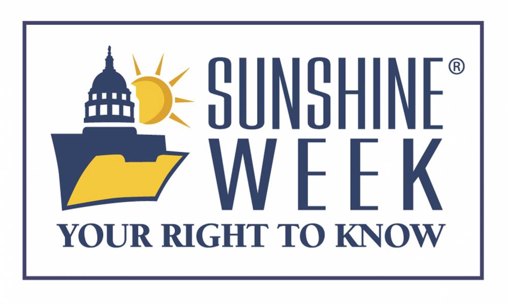 Sunshine Rep State Rep. Viola Davis Introduces Legislation to Improve Government ...