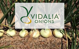 vidalia onions 3