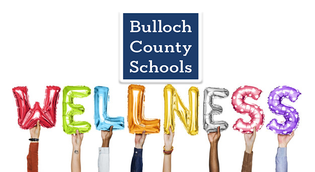 bulloch schools teacher wellness