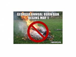 Georgia Forestry: North Georgia Burn Ban Helps Boost Air Quality