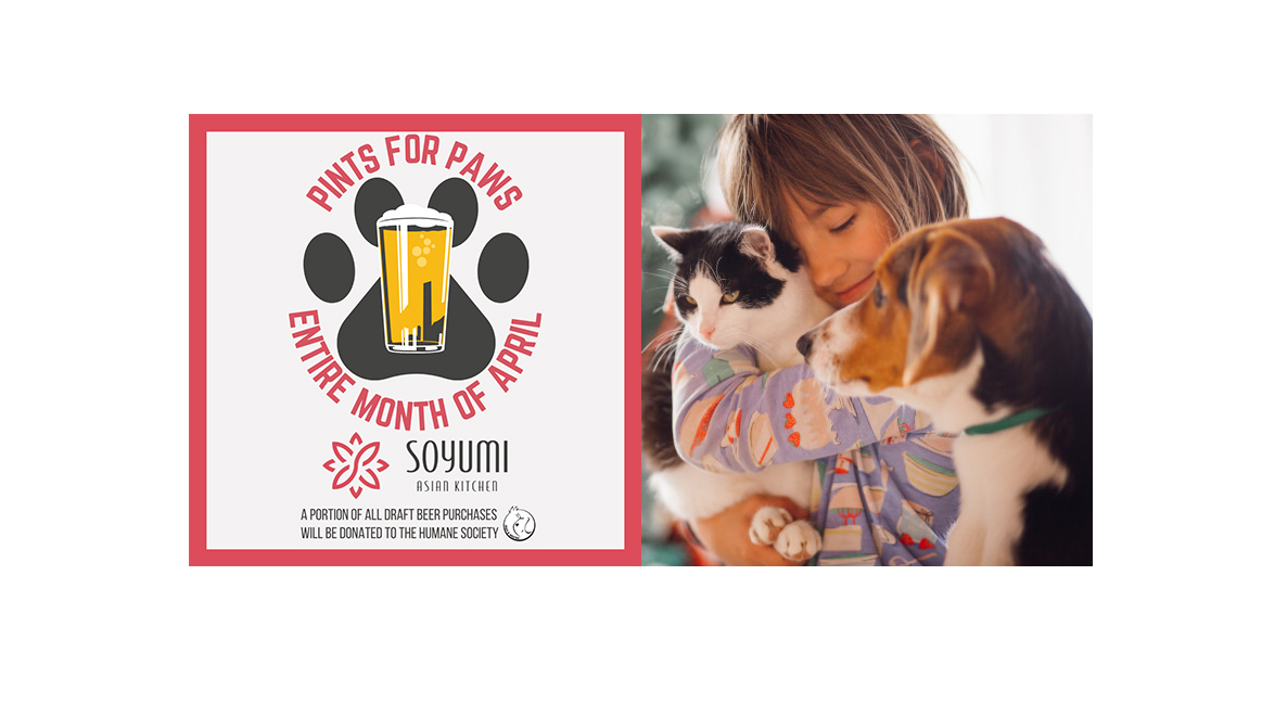 soyumi humane society pints for paws adoption event