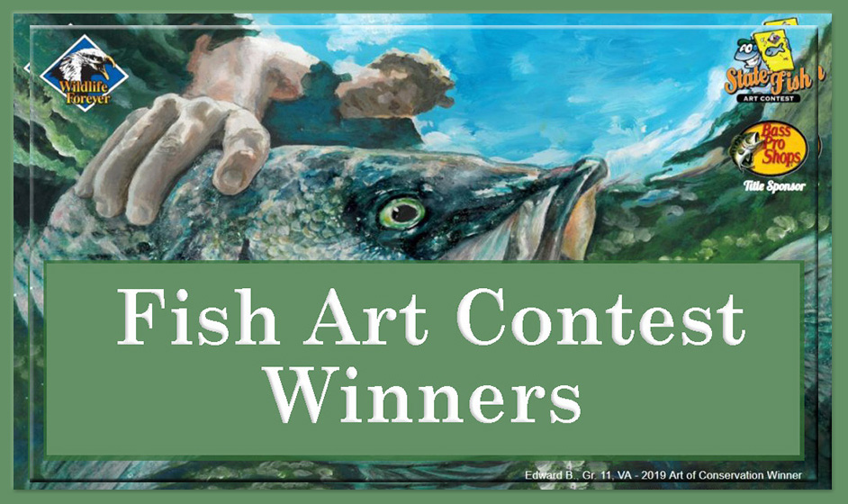 fish art contest 2021