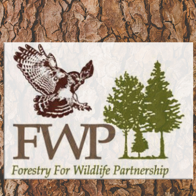 kemp ga dnr forestry for wildlife partners