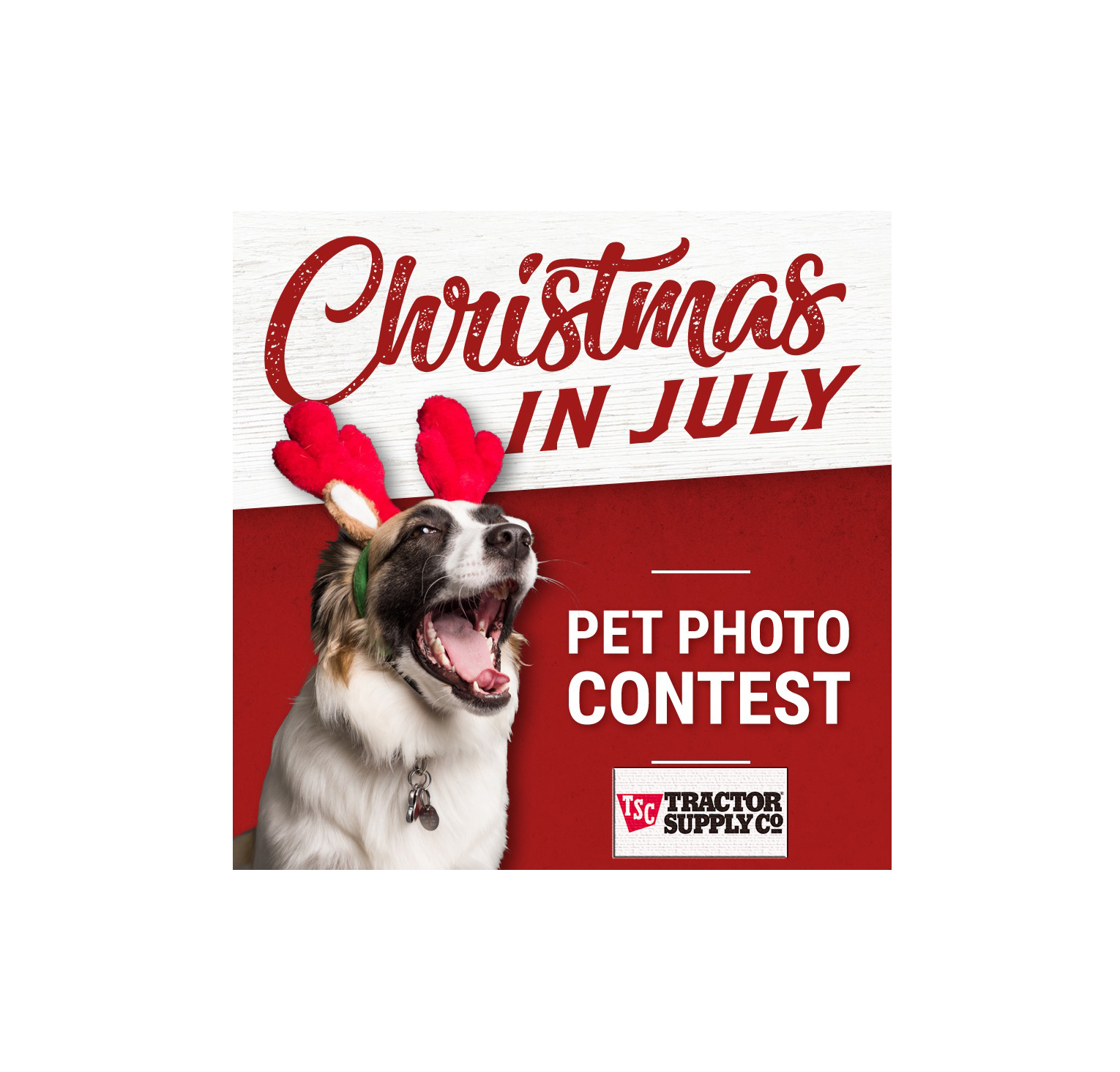 tractor supply pet photo contest christmas in july featured