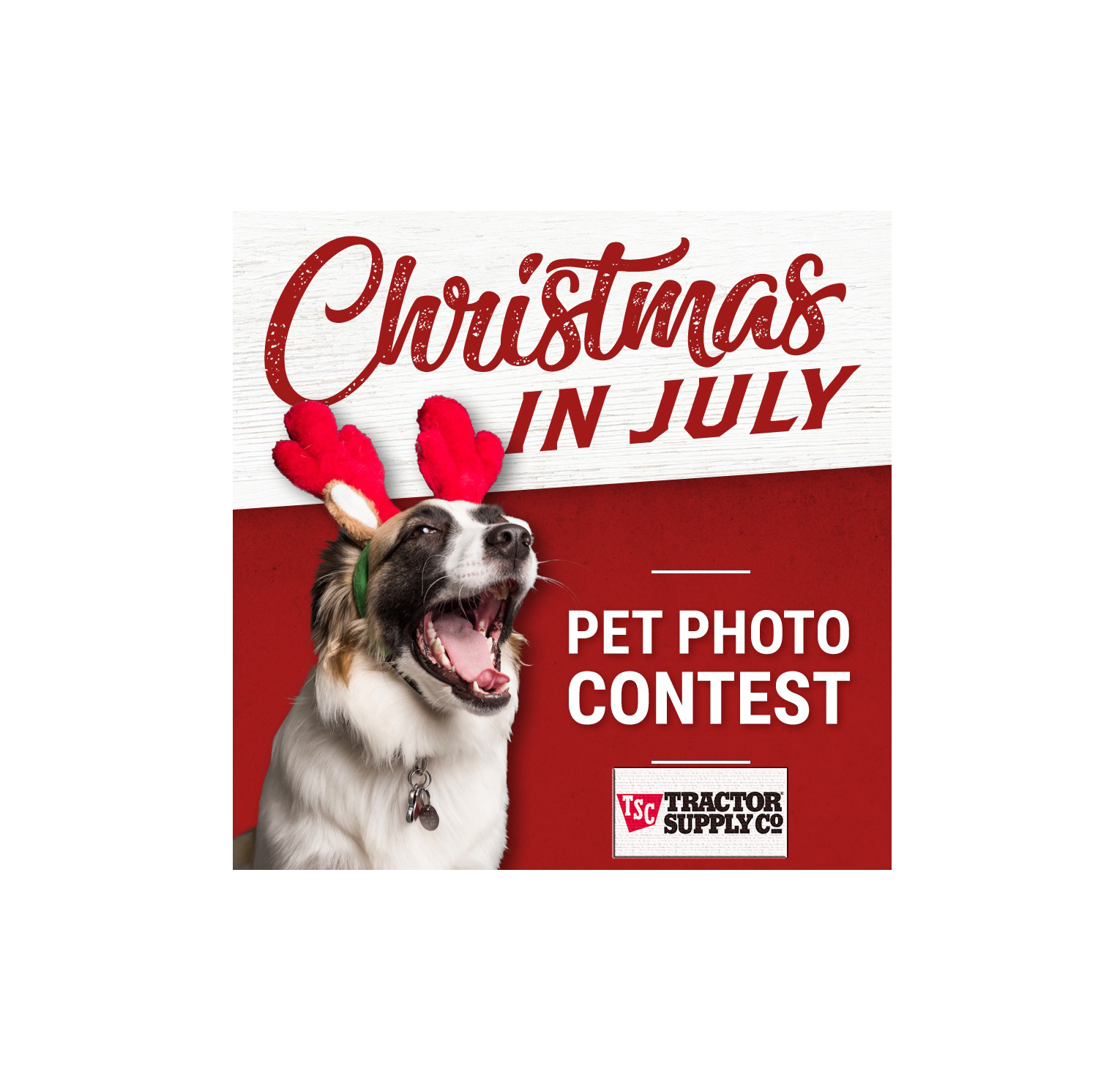 Tractor Supply Christmas in July Pet Photo Contest