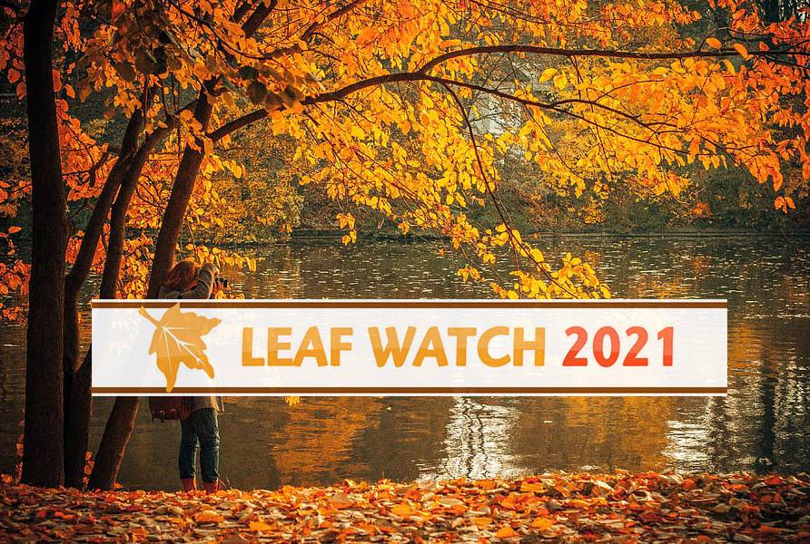 State Parks’ “Leaf Watch” Provides Travel Tips for Leaf Peepers