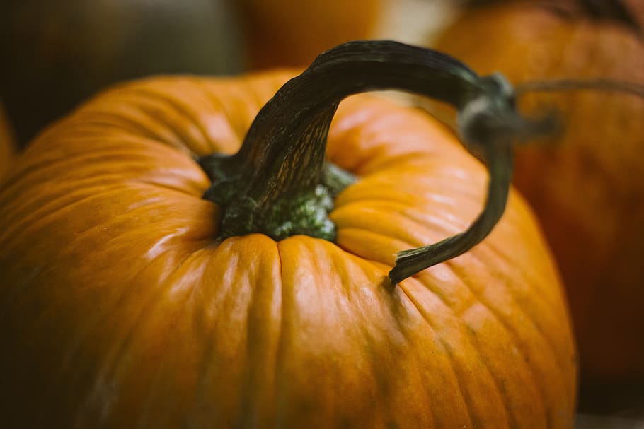 pumpkins-halloween