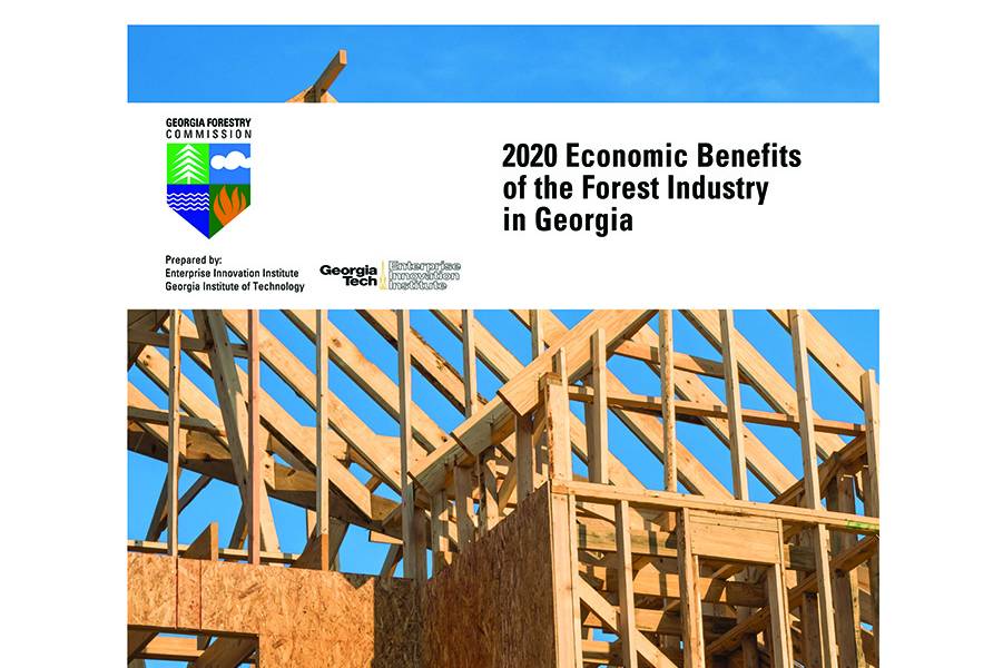 Forestry Commission Forests Continue to Grow Economy