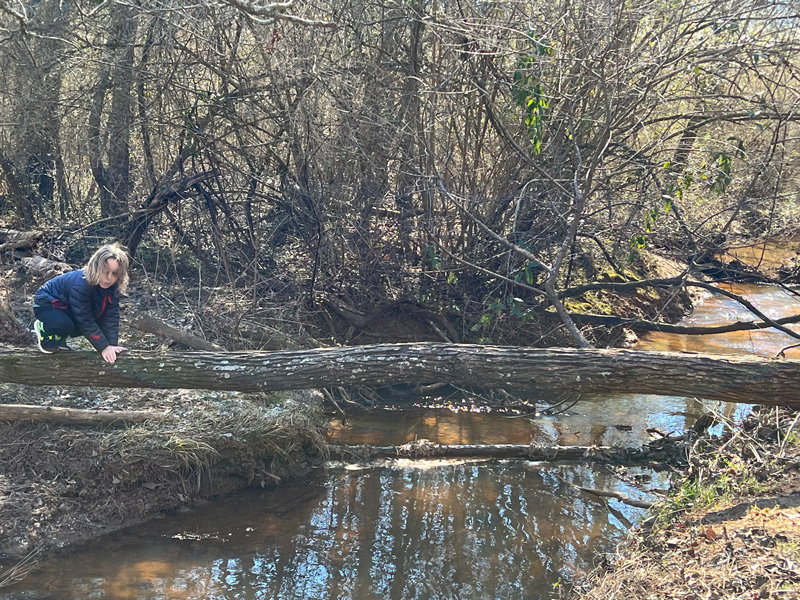 Boy crossing log