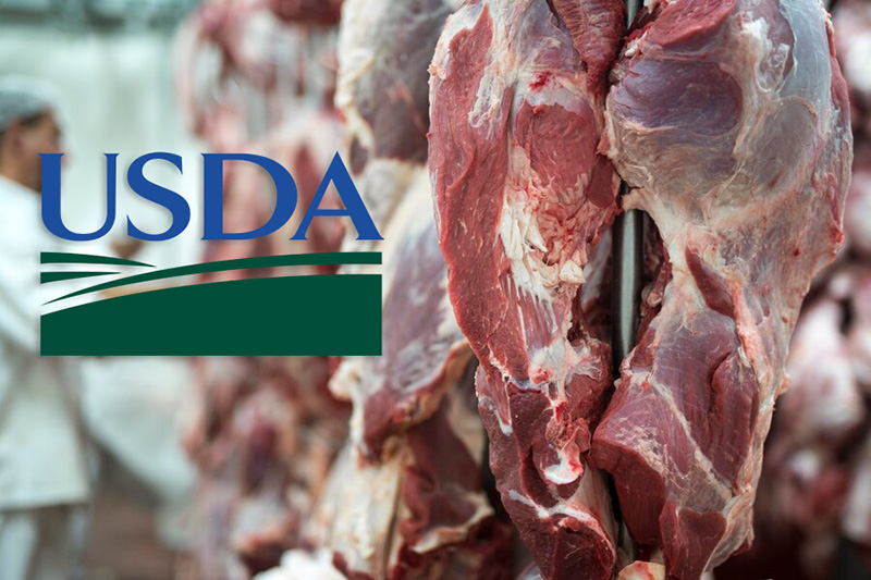 usda meat processing
