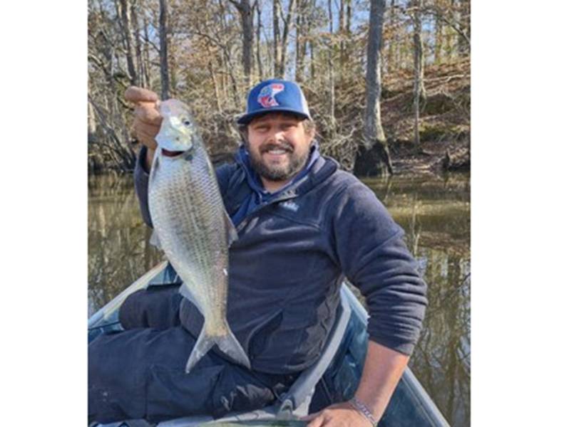 Timmy Woods Reels in State Record Hickory Shad for Georgia
