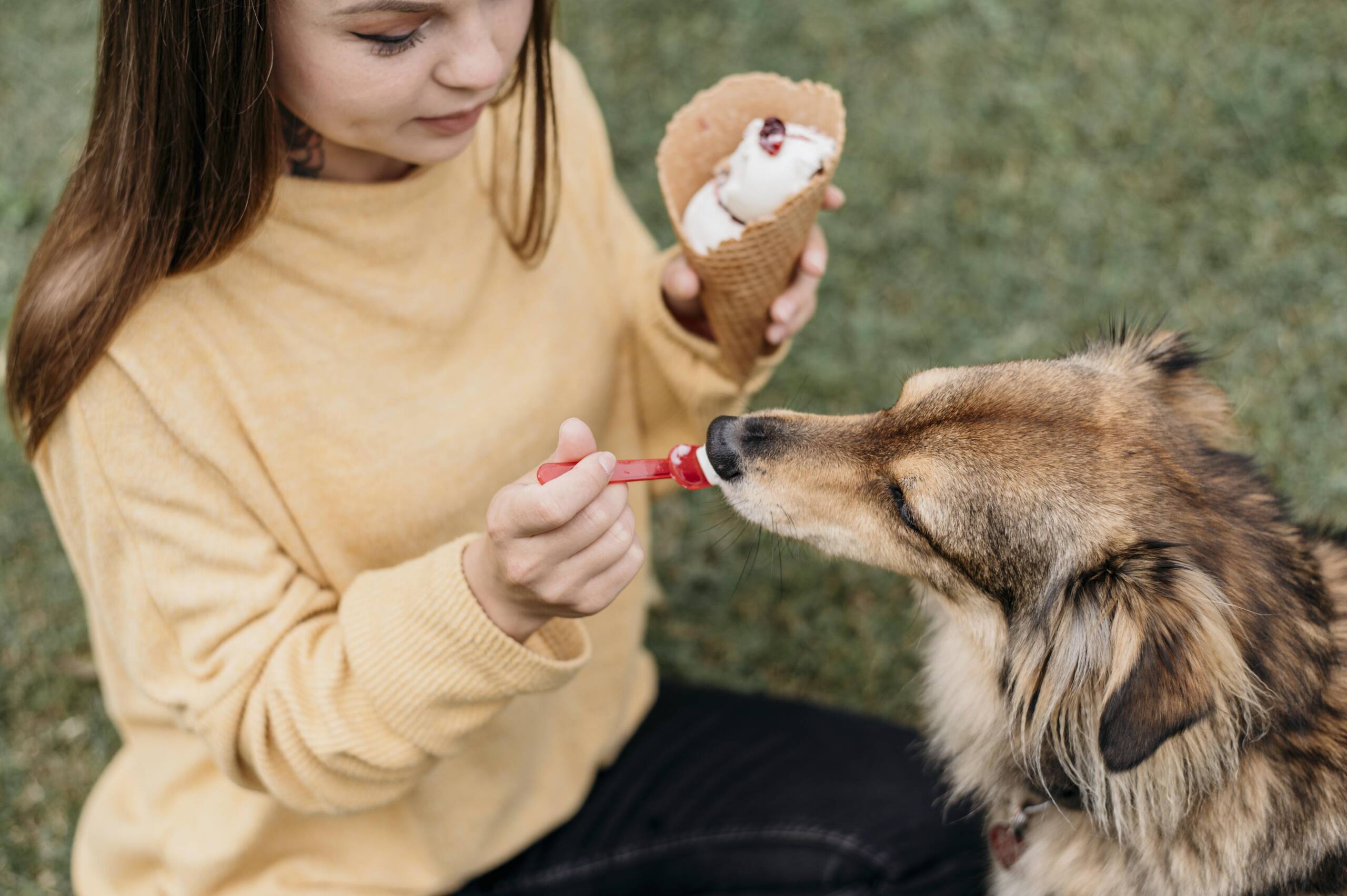 woman-giving-ice-cream-her-dog