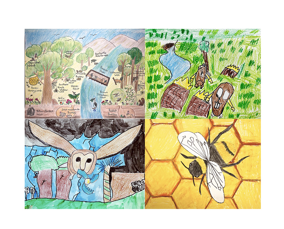 Give Wildlife a Chance Poster Contest ga dnr