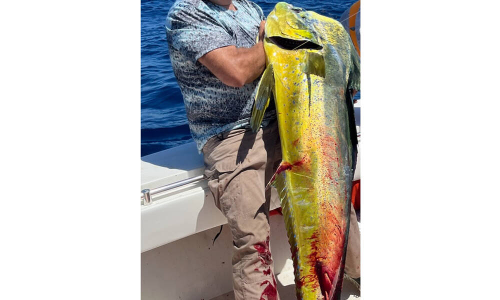 James Roberts of Midway Sets New Georgia Record for Dolphin Fish