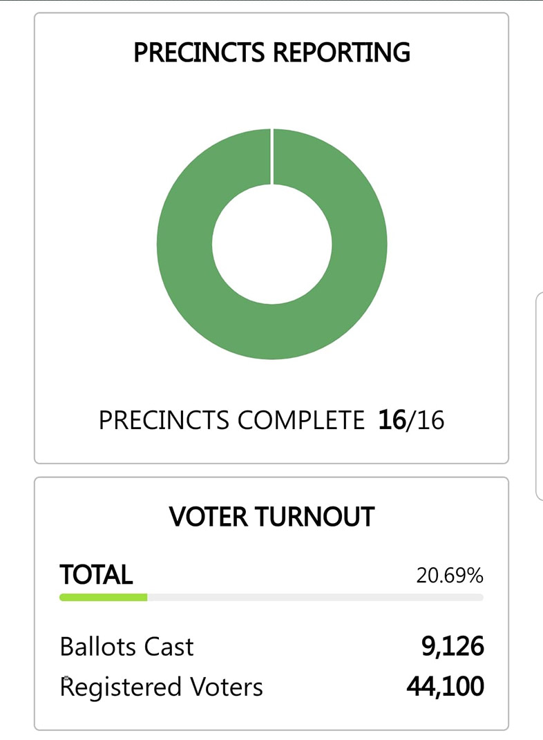 bulloch voter turnout 05252022
