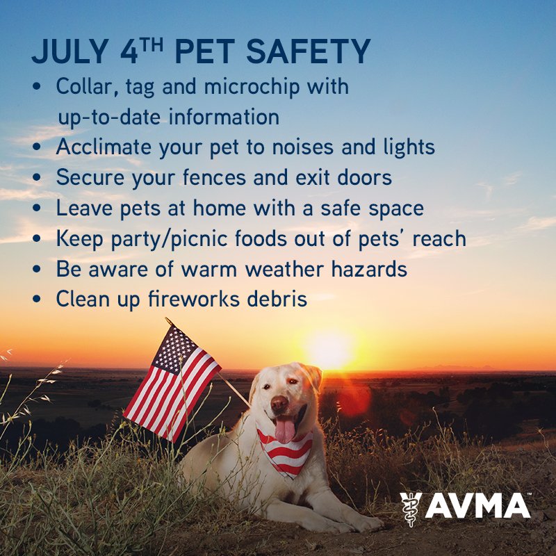 july 4 pet safety avma 2