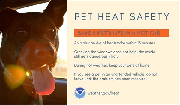 national weather service dog in hot car