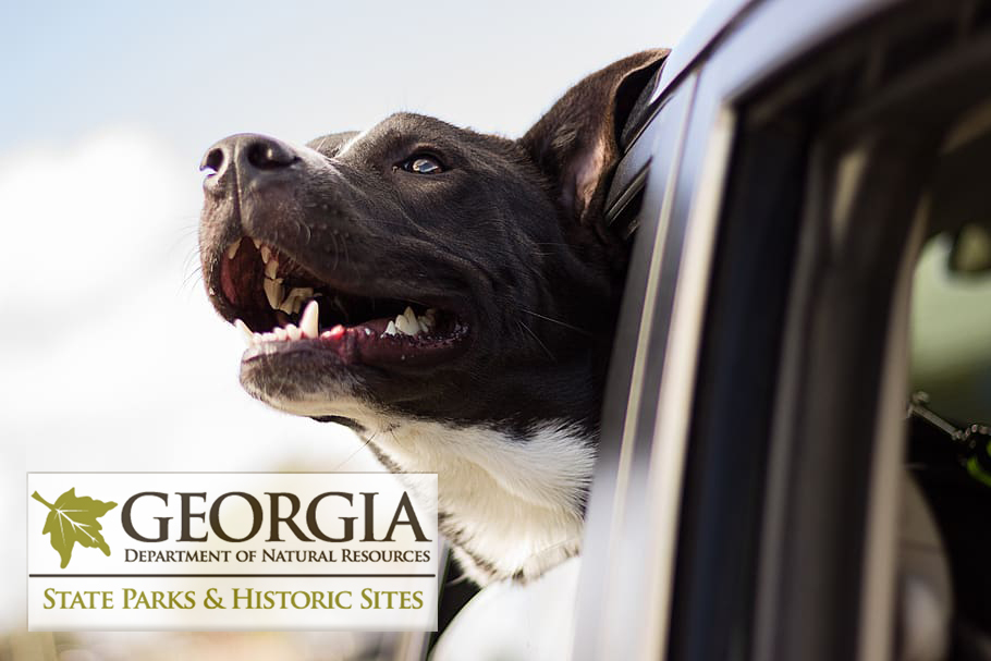 ga state parks dogs