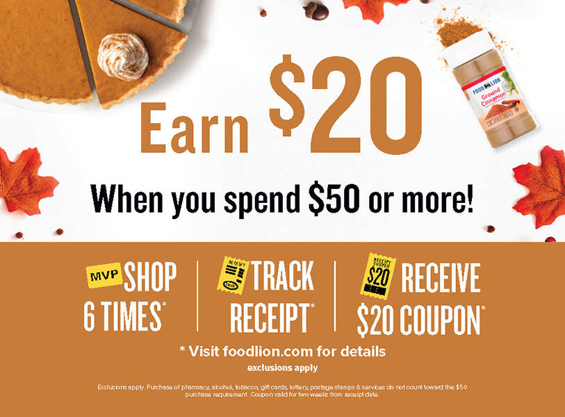 Food Lion Provides Holiday Savings, Receive an Extra 20 in Savings