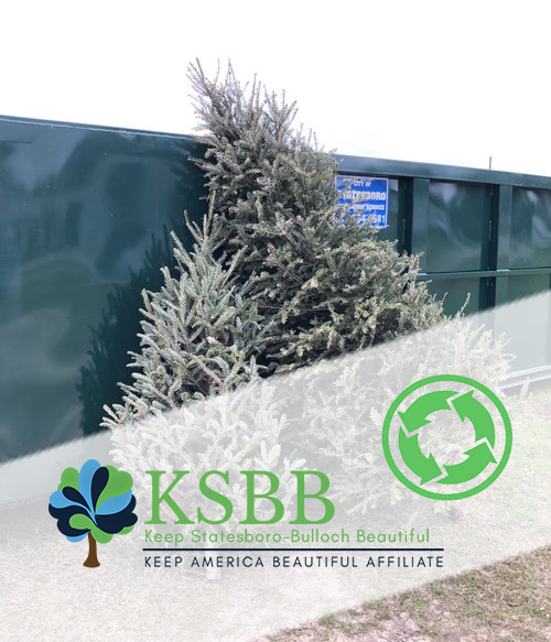ksbb tree recycling 22