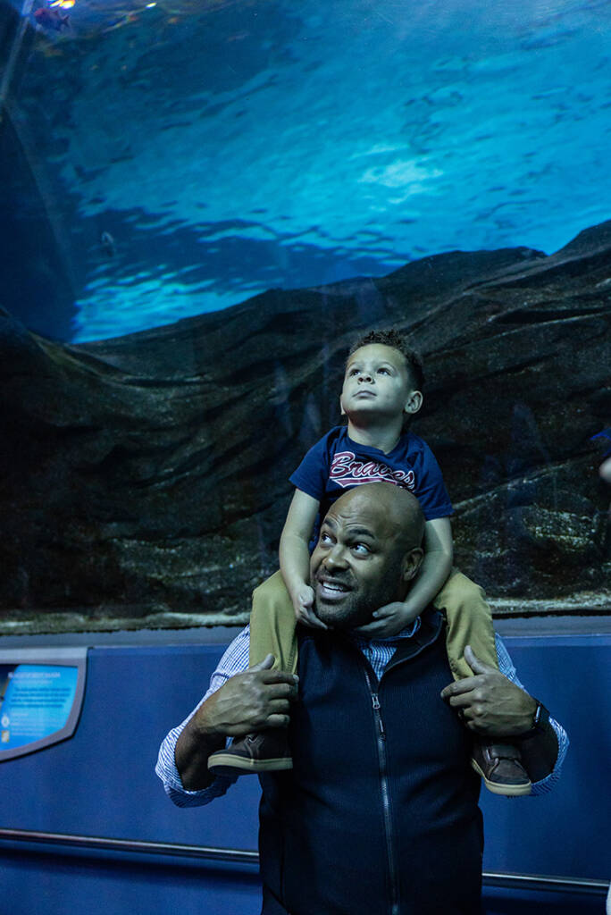 Aquarium Launches Resident Pass for Price of OneDay Ticket