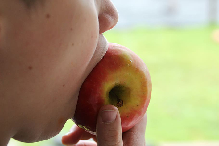 apple-bite-feed-eat