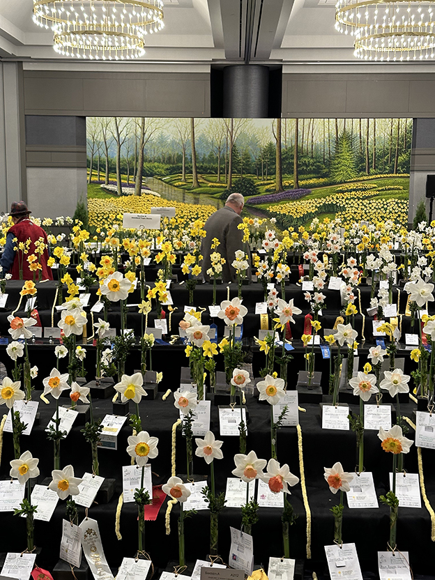 Dunwoody – American Daffodil Society National Convention – Courtesy of Discover Dunwoody