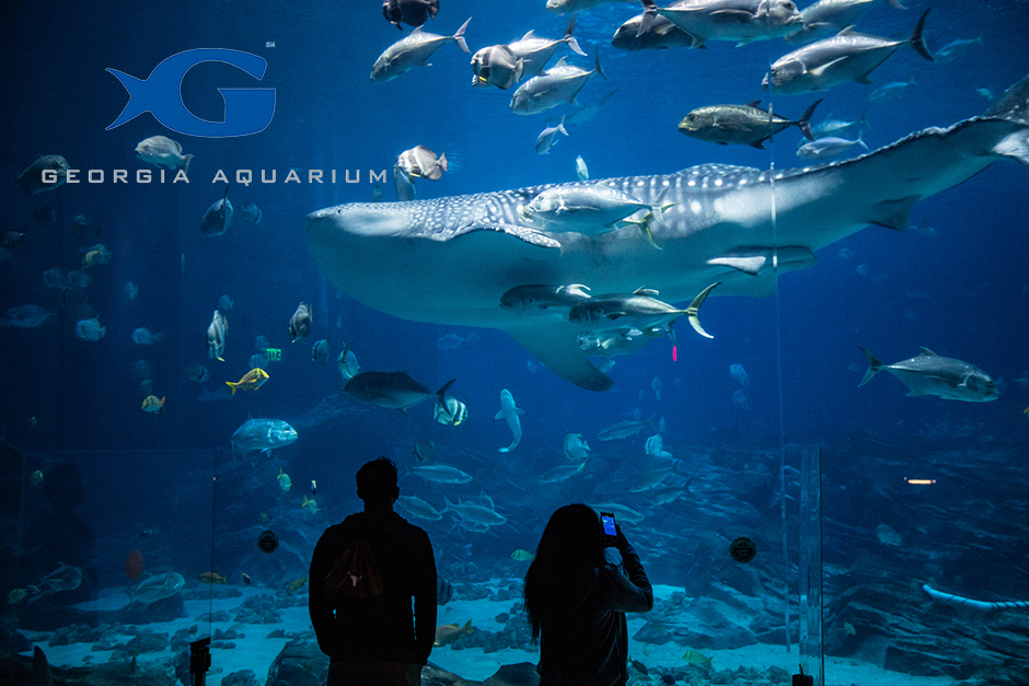 georgia aquarium map