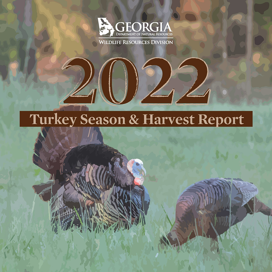 turkey2022 stats