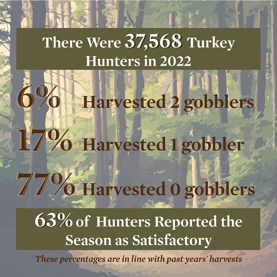 turkey2022 stats2