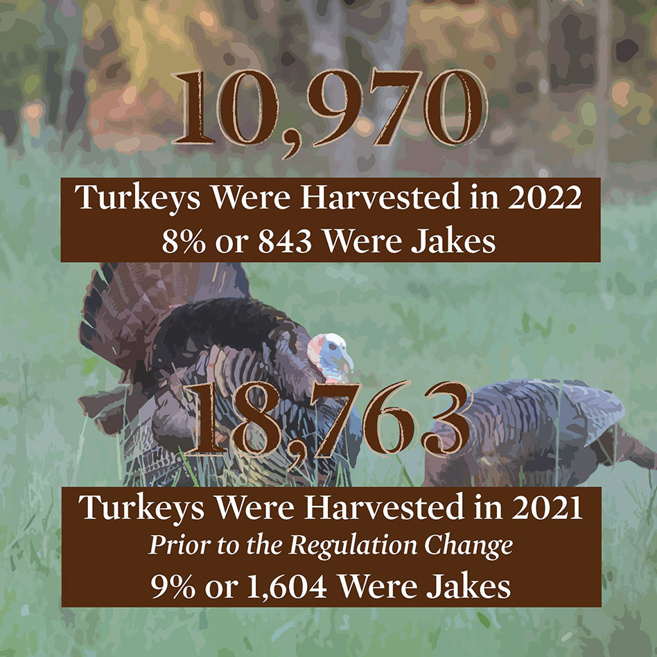turkey2022 stats5