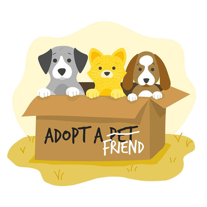adopt pets