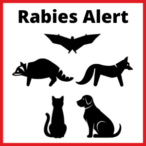 Rabies-Alert ga dph